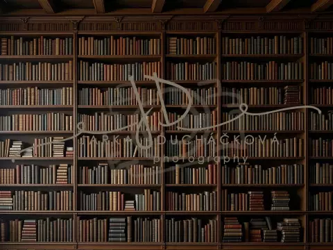 Fotopozadí - Knihovna 1 Fotopozadí - Knihovna 1