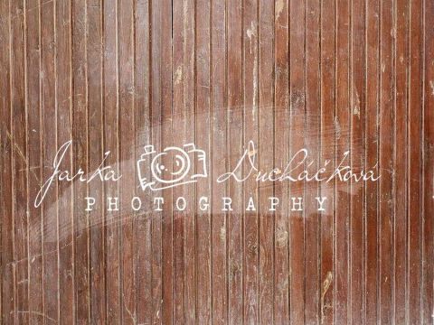 Fotopozadí - PODLAHA 341