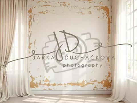 Fotopozadí - Stěna s okny 13