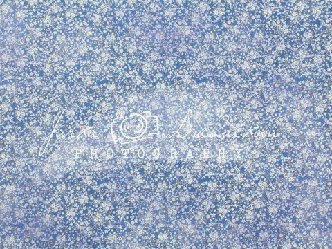 Fotopozadí - DESIGN 81