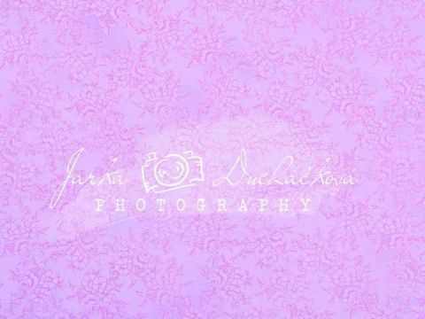 Fotopozadí - DESIGN 104