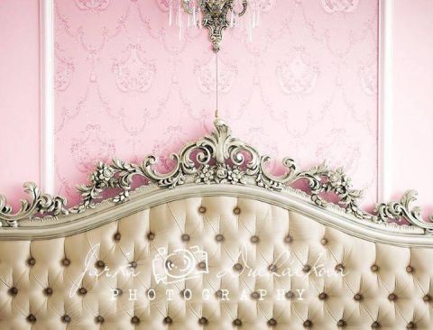 Fotopozadí - POHOVKA luxusní ze zámku 4 růžová