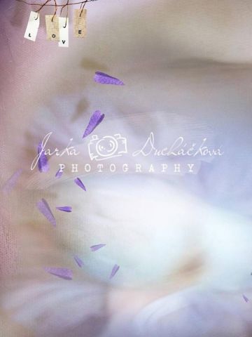 Fotopozadí - DESIGN 349