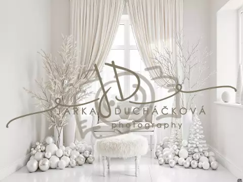 Fotopozadí - Bílá scéna zimní 15