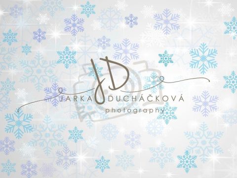 Fotopozadí - WINTER 2