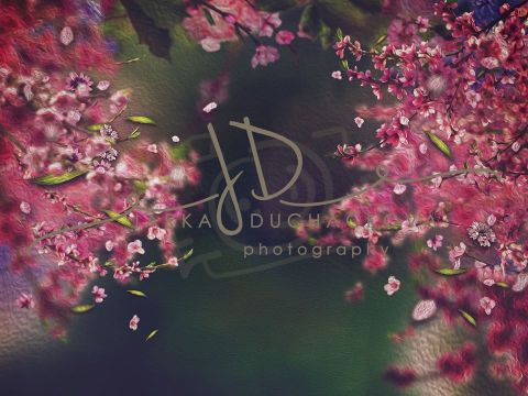  Fotopozadí - Květy jarní 2