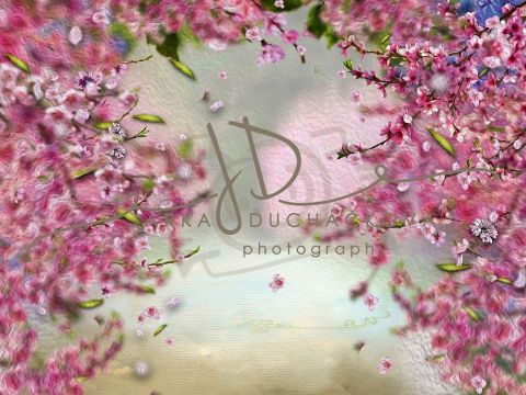 Fotopozadí - Květy jarní 5 