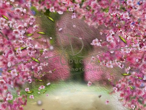 Fotopozadí - Květy jarní 6
