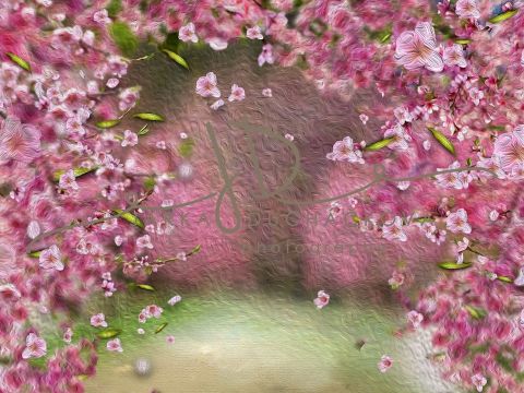 Fotopozadí - Květy jarní 8