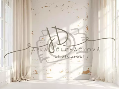 Fotopozadí - Stěna s okny 17