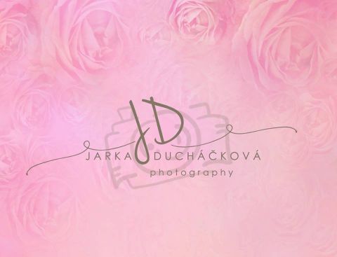 Fotopozadí - RUŽE 15