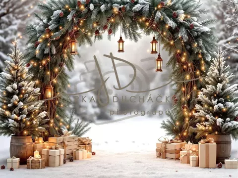 Fotopozadí - Brána v lese 18