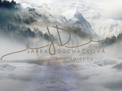 Fotopozadí - WINTER 70