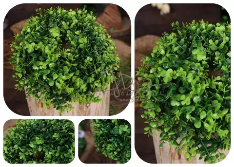 Věnec zelený buxus