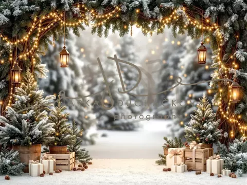 Fotopozadí - Brána v lese 20 Fotopozadí - Brána v lese 20