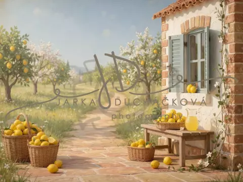 Citrusový sad 20