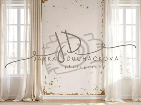 Fotopozadí - Stěna s okny 20