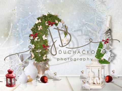 Vánoční fotopozadí - DESIGN 811