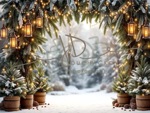 Fotopozadí - Brána v lese 21