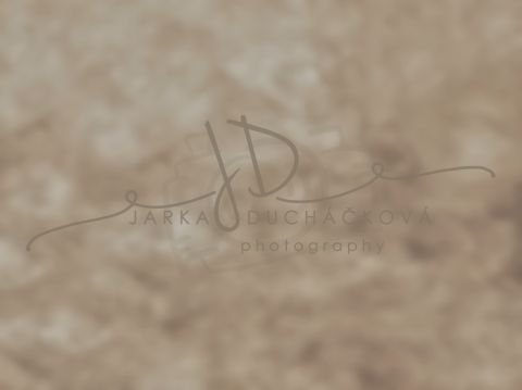 Fotopozadí - VINTAGE 139