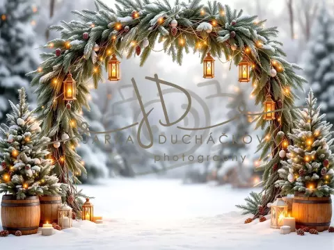 Fotopozadí - Brána v lese 23