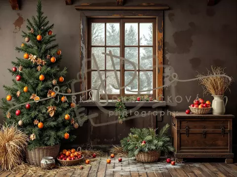 Fotopozadí - Staročeské Vánoce 24