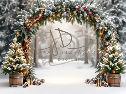 Fotopozadí - Brána v lese 26 Fotopozadí - Brána v lese 26