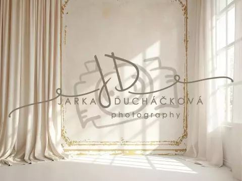 Fotopozadí - Stěna s okny 26