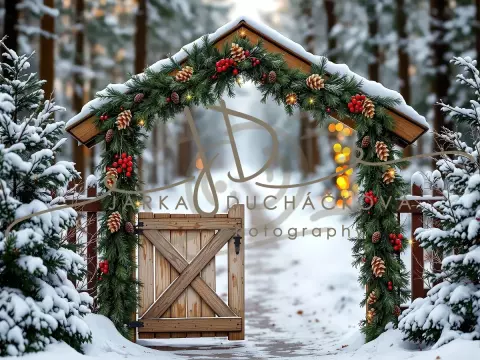 Fotopozadí - Brána v lese 3 Fotopozadí - Brána v lese 3