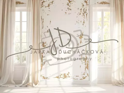 Fotopozadí - Stěna s okny 31