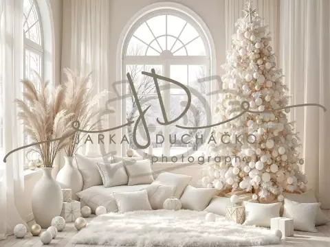 Fotopozadí - Bílá scéna zimní 32 Fotopozadí - Bílá scéna zimní 32