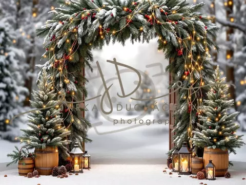 Fotopozadí - Brána v lese 34