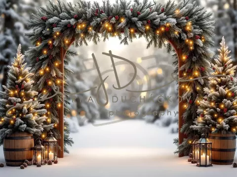 Fotopozadí - Brána v lese 37