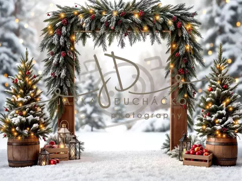 Fotopozadí - Brána v lese 39 Fotopozadí - Brána v lese 39