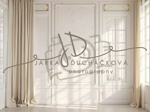 Fotopozadí - Stěna s okny 39 Fotopozadí - Stěna s okny 39