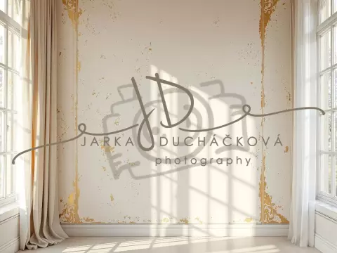 Fotopozadí - Stěna s okny 4