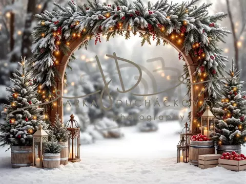 Fotopozadí - Brána v lese 40 Fotopozadí - Brána v lese 40