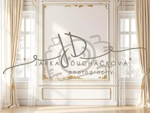 Fotopozadí - Stěna s okny 40