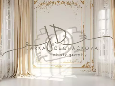 Fotopozadí - Stěna s okny 42