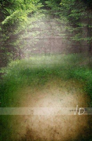 Fotopozadí - stěna+podlaha - Pohádkový les velký 3