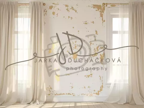 Fotopozadí - Stěna s okny 7