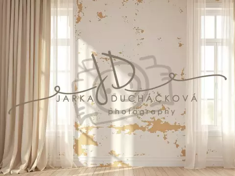 Fotopozadí - Stěna s okny 8