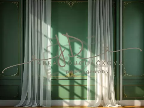 Fotopozadí - Stěna s okny zelená 9