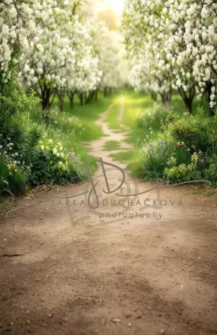 Fotopozadí SPOJENÉ - Jarní koutek