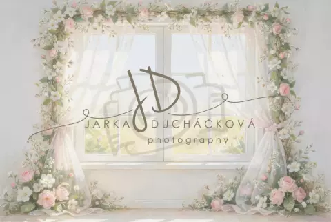 ROMANCE 11 ROMANCE 11