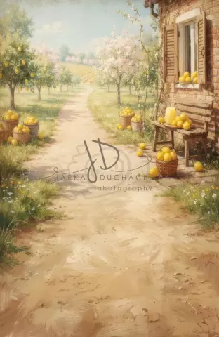 SPOJENÉ pozadí - Sad malovaný 5