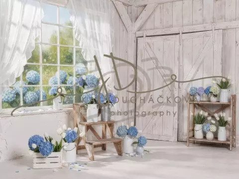 Stodola s hortenziemi 1 Stodola s hortenziemi 1