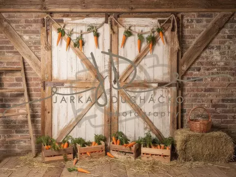 Stodola s mrkví 7 Stodola s mrkví 7