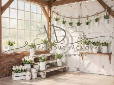 Tulipány bílé 2 Tulipány bílé 2