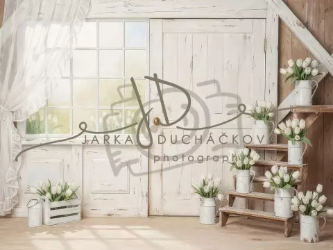 Tulipány bílé 23 Tulipány bílé 23